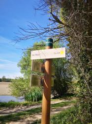 Balade dans les étangs de la Dombes, Ain