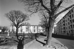 [Quartier des Brosses à Villeurbanne (Rhône)]