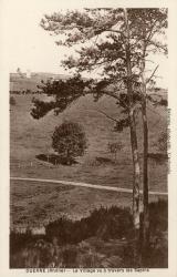 Duerne (Rhône). - Le village vu à travers les sapins