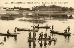 Belleville (Rhône). - La Saône, le coin aux goujons