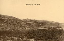 Ampuis (Rhône). - Cote Rotie