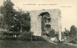 Chaponost. - Les Aqueducs à Montaland
