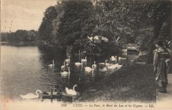 Lyon. - Le Parc, le bord du Lac et les Cygnes