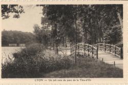 Lyon. - Un joli coin du parc de la Tête-d'Or