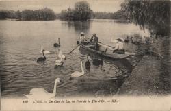 Lyon. - Un coin du Lac au Parc de la Tête-d'Or