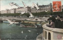 Lyon. - Les mouettes au Pont Lafayette