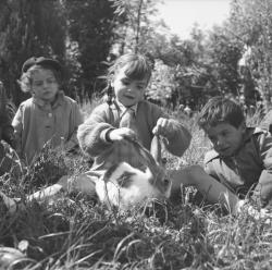 [Enfants et lapin dans l'herbe : une petite fille lui tire les oreilles]