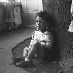 [Garçon assis au pied de l'arbre dans la cour d'école]