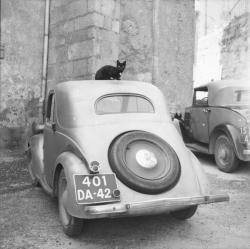 [Chat noir sur le toit d'une Simca 5]