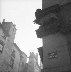 [Sculpture de boeuf, rue du boeuf]