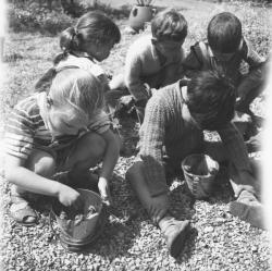 [Des enfants ramassent des escargots]