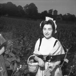 [Les membres de la chorale prennent la pose dans le vignoble]