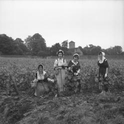 [Les membres de la chorale prennent la pose dans le vignoble]