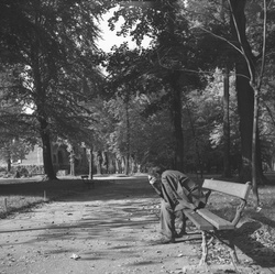 [Un homme seul sur un banc au Parc de la Tête-d'Or]