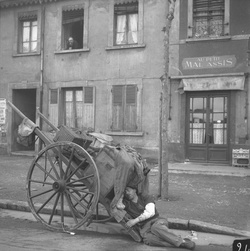 [Homme seul dormant sur sa carriole]