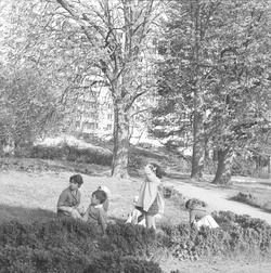 Garderie d'enfants, Château de Menival