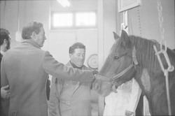 [Le Professeur Christiaan Barnard à Lyon]