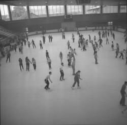 La Patinoire municipale