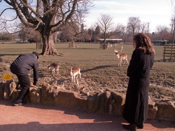 Parc de la Tête-d'Or par -8°C