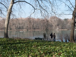 Parc de la Tête-d'Or par -8°C