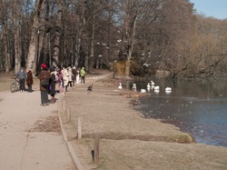 Parc de la Tête-d'Or par -8°C