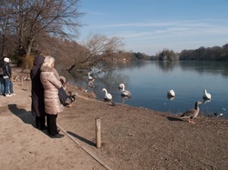 Parc de la Tête-d'Or par -8°C