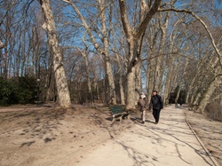 Parc de la Tête-d'Or par -8°C