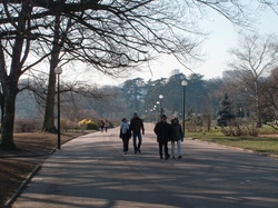 Parc de la Tête-d'Or par -8°C