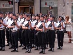 Revue militaire du 14 juillet, cours Franklin-Roosevelt