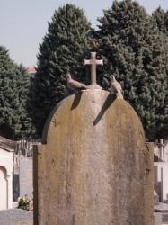 [Ancien cimetière de la Guillotière]