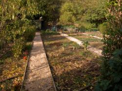 [Jardins ouvriers communaux de Vaise]