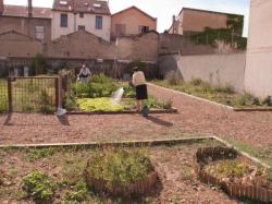 [Jardin éphémère rue Jean-Bourgey]