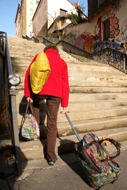 On tire et on pousse sur les pentes de la Croix-Rousse