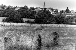 [Commune de Dommartin (Rhône)]