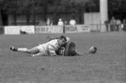 [Rugby : LOU - CS Vienne Rugby (36-18)]