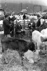 [Foire agricole de Beaucroissant (1988)]