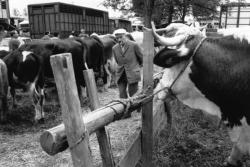 [Foire agricole de Beaucroissant (1988)]