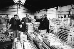 [Marché de gros de Lyon-Perrache]