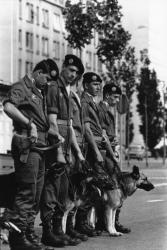 [Revue militaire du 14 juillet]