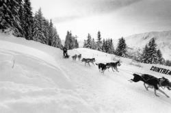 [Trophée Revillon à Méribel (Savoie)]