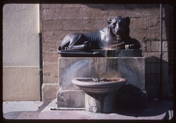 Fontaine de la place Sathonay