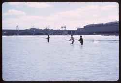 Lyon : pêcheurs