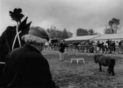 [11e Fête du cheval de Morancé (1991)]