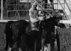 [Grand Prix de Lyon à l'hippodrome de Parilly]