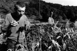 [Ecole d'agrobiologie de Beaujeu (Rhône)]