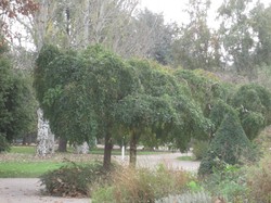 Le parc Georges Bazin