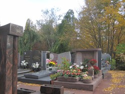 [Parc-cimetière du Grand-Lyon à Bron : le parc aux couleurs d'automne]