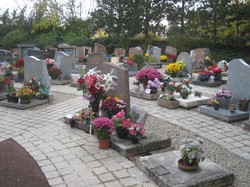 [Parc-cimetière du Grand-Lyon à Bron : les tombes]