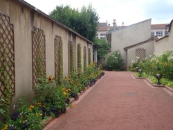 Arrière cour fleurie