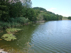 [Espace naturel sensible de l'étang de Montjoux]